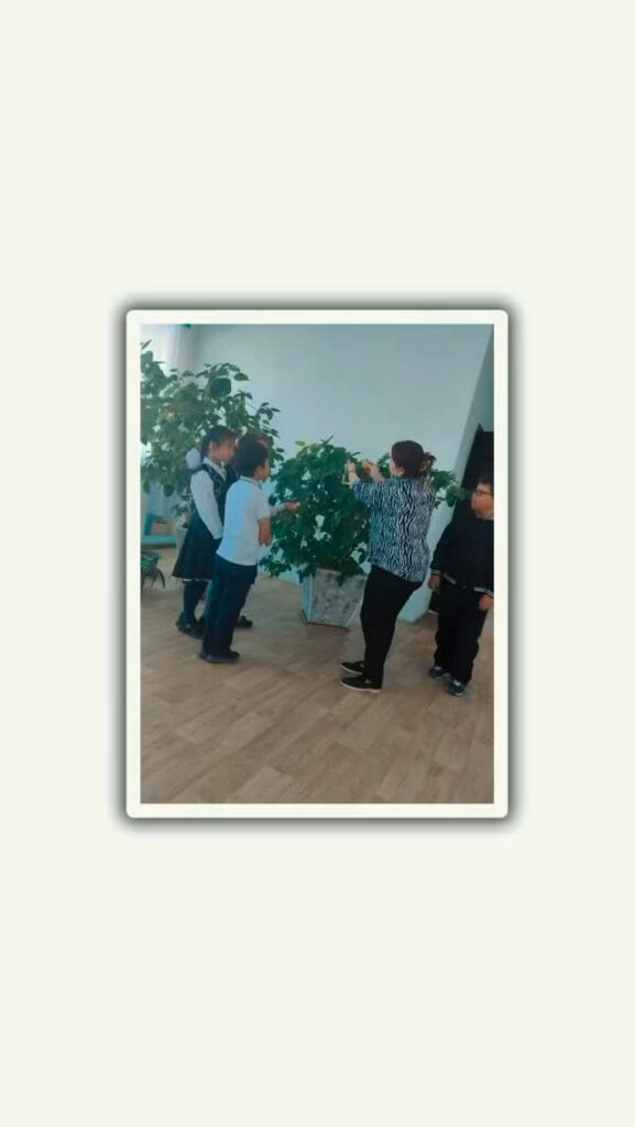 “Табиғатқа қамқорлық жасаймыз’ акциясы аясында бастауыш сынып оқушылары бөлме гүлдеріне&hellip;